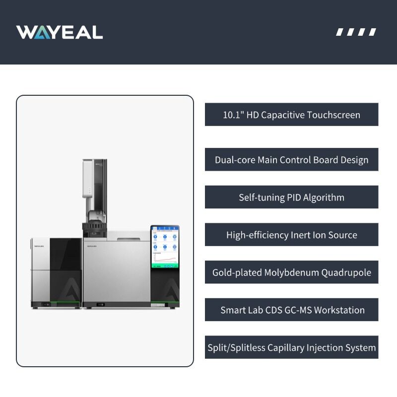 System chromatografu gazowego ze spektrometrem masowym GM6100 marki China Brand z 16 portami wtrysku